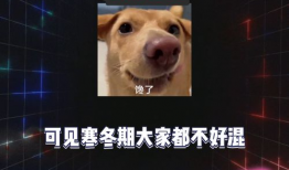爆料八卦吃瓜,明星们的幕后故事大揭秘！
